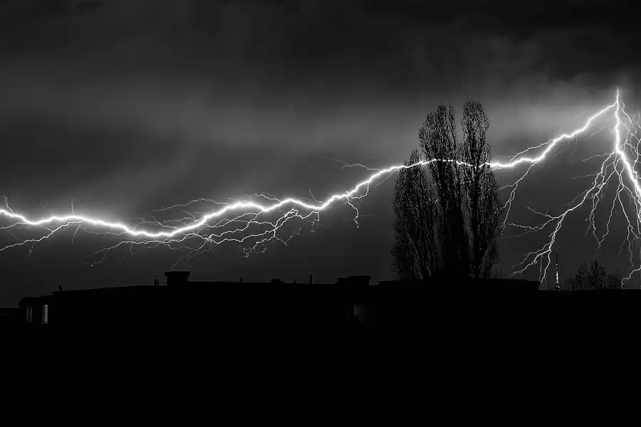 NATURAL SPECTACLES | © carsten riede fotografie