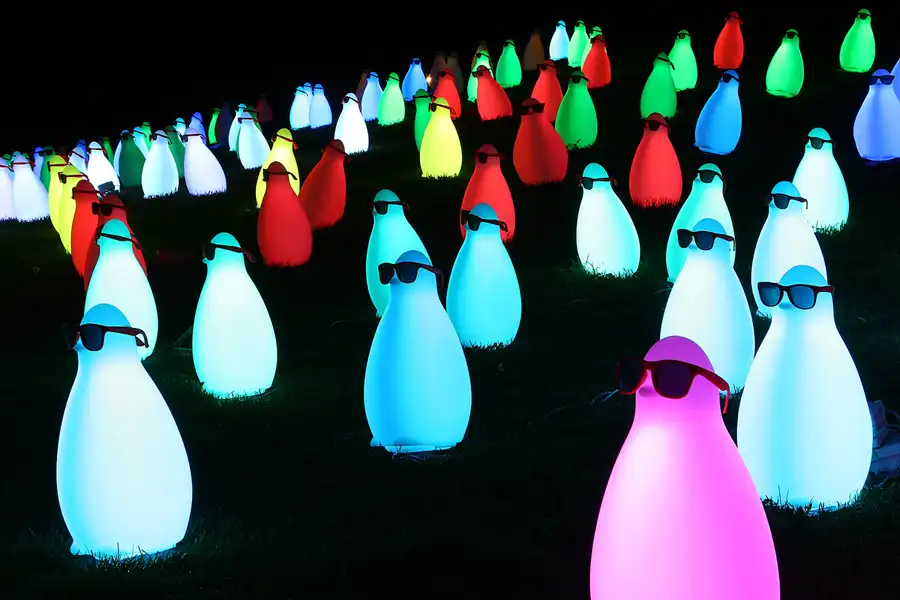 PLAY OF COLOURS | © carsten riede fotografie